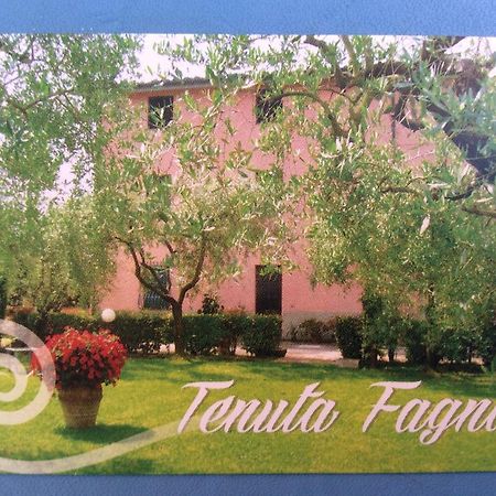 Tenuta Fagnani Лукка Номер фото