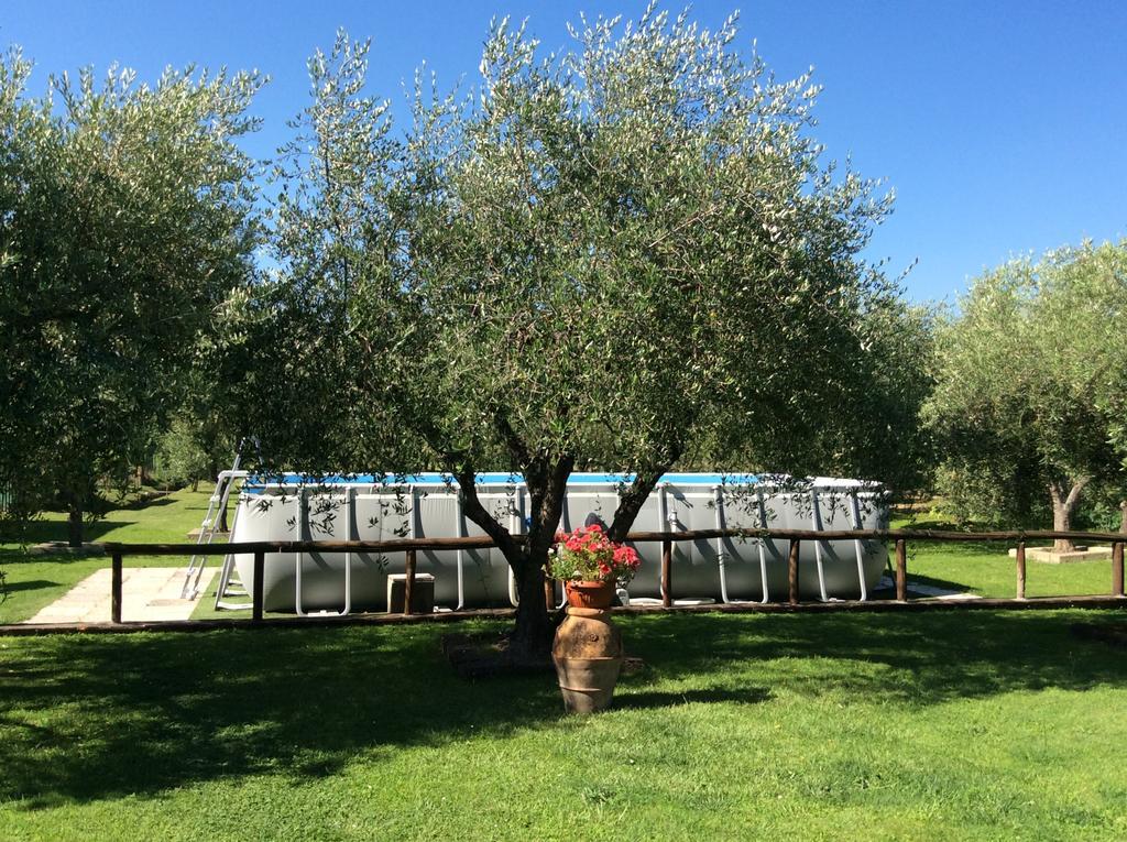 Tenuta Fagnani Лукка Экстерьер фото