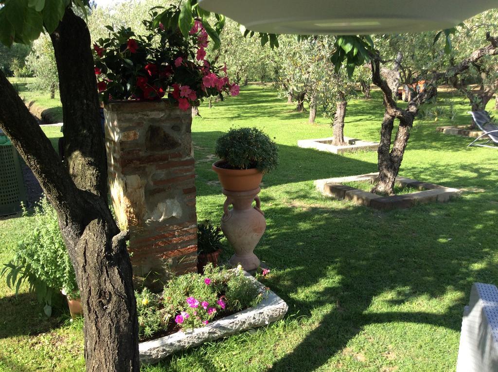 Tenuta Fagnani Лукка Экстерьер фото