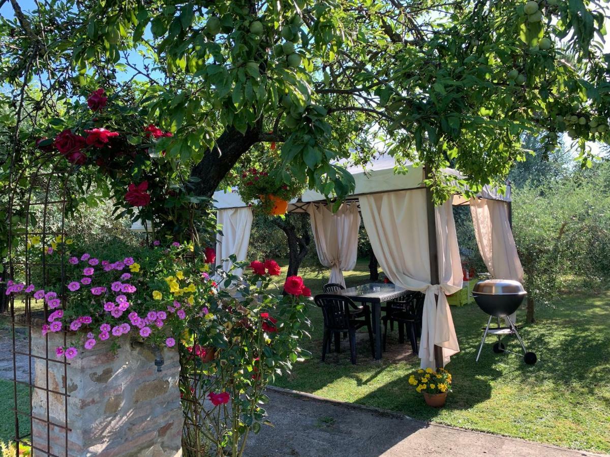 Tenuta Fagnani Лукка Экстерьер фото